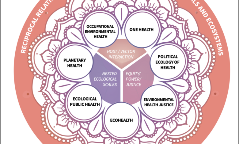 Health insurance
